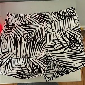 4 inch inseam high waisted shorts